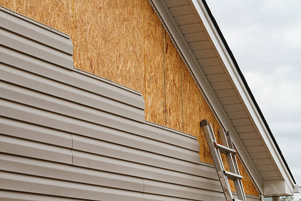 Professional Wood Siding technician working in Greensboro, MD